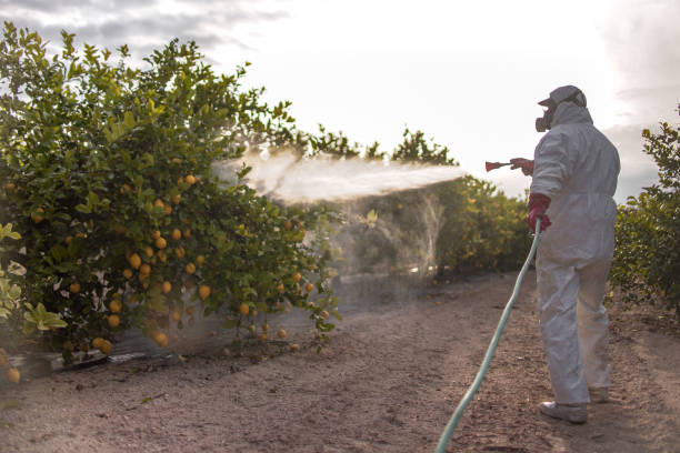 Best Emergency Pest Control  in Parker City, IN