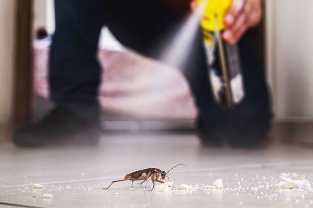 Professional Pest Control in Parker City, IN