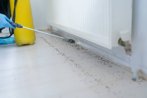 Best Emergency Pest Control  in Parker City, IN
