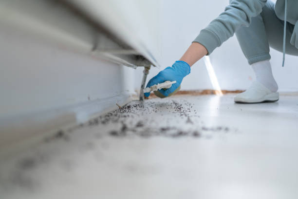 Best Pest Inspection Near Me  in Parker City, IN